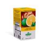 TE CITRUS MIX, JENGIBRE Y MIEL SAINT GOTTARD